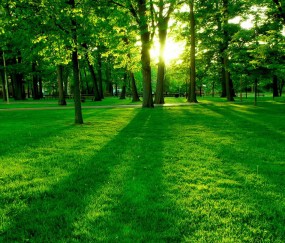 小孩淋雨一直发烧（小孩淋雨发烧肚子疼吃什么药）