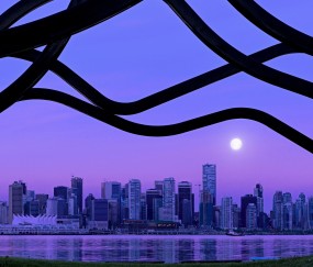 卵泡彩超单子图片（卵泡彩超单子图片高清）