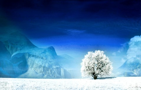 小孩发烧吃荔枝罐头（发热可以吃荔枝罐头吗）