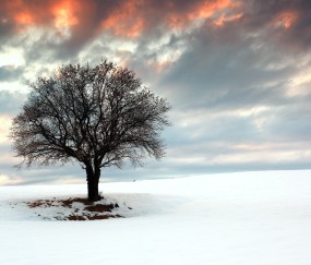 小孩老是同一时间发烧（小孩一时发烧一时正常是怎么回事）