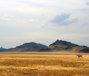 泌乳素高卵泡质量低（泌乳素高卵泡质量差吗）