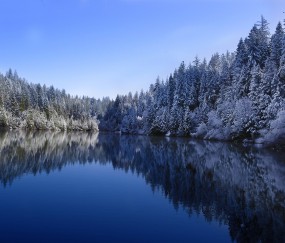宫腔粘连治疗要多久（宫腔粘连治疗要多久才能怀孕）