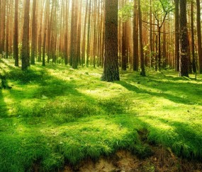 卵泡排出时会变小吗（卵泡排出就会来月经吗）