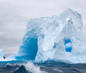 吃鱼对卵泡发育好吗（吃什么鱼对卵泡发育最好?）