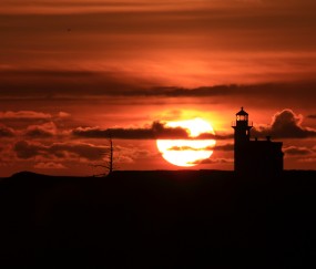 小孩发烧手脚不能凉着么（小孩发烧手脚不凉什么原因）