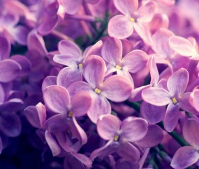 小孩发烧从屁眼灌药（小孩发热从肛门塞药对肠道有没有害处）