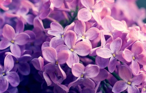 小孩发烧后耳朵有血怎么回事（孩子发烧耳朵出血怎么回事）