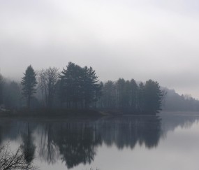 小孩喜欢睡觉发烧（小孩喜欢睡觉发烧咋回事）