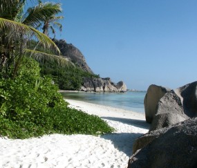 小孩篇桃体发炎发烧怎么办（孩子遍桃体发炎怎么办）