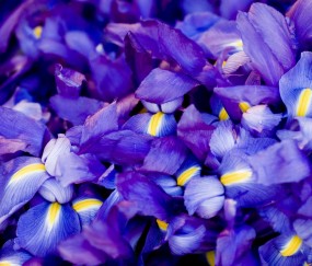 小孩发烧身上痒红怎么回事（孩子发烧身上痒有小红点）