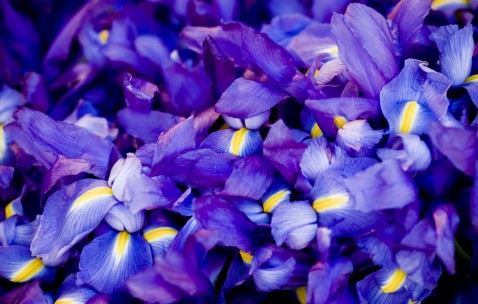 卵泡10x9（卵泡10*7还需要几天成熟）