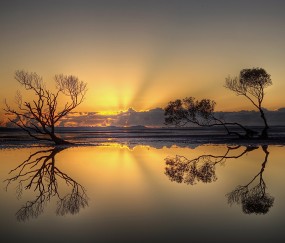 卵泡测试怎么做（测卵泡是怎么检查的图）