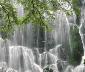 大于18的卵泡好吗（卵泡大小18）