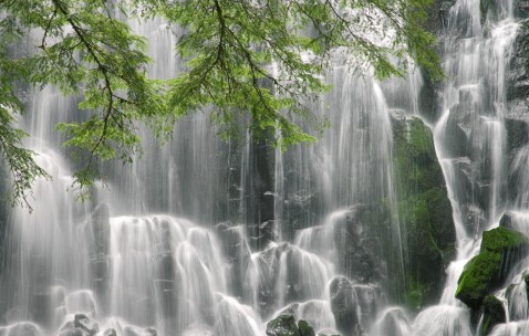 南昌总计6家正规供卵试管医院，共有5家医院满足患者要求！