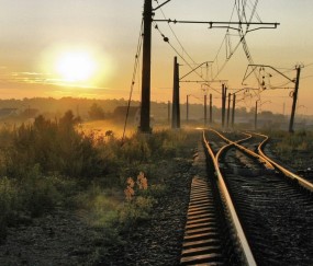这个卵泡会不会排（卵泡会不会怀孕）