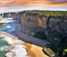 测卵泡显示排卵同房（监测卵泡安排同房）