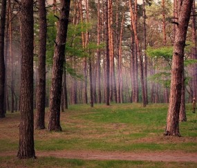 小孩发烧不怎么明显（孩子发烧不高反复没有别的症状）