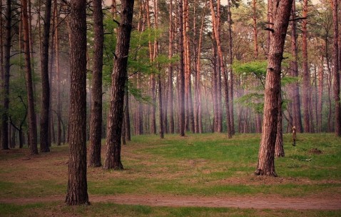 福州5家合法供卵生殖中心名单，附供卵管成功率、费用预算！（福州辅助生殖哪里好）