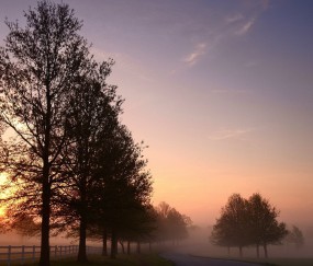 卵泡会移动位置吗（卵泡会走动吗）