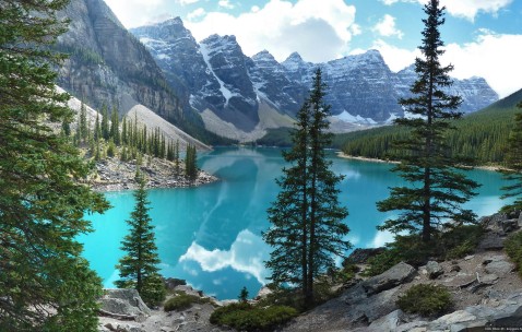 试管第三代成功率（第三代的试管婴儿成功率高吗?）