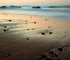 卵泡2319质量好吗（卵泡2321质量好不好）