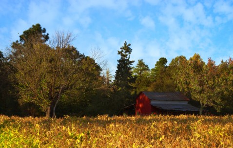 卵泡2.22.6怀孕了（卵泡26*22mm怀孕了）