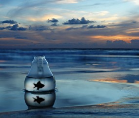 小孩发烧面红怎么办（小孩发烧面色潮红）