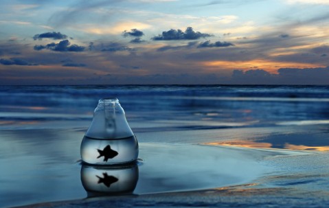 南昌7家供(借)卵试管婴儿医院最新排名，哪家第三方试管机构靠谱！