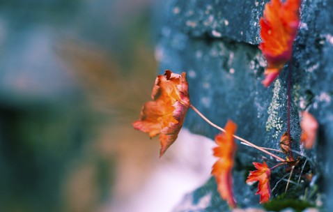 南昌供卵试管婴儿的费用和流程全攻略，附2024供卵费用一览！