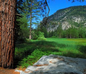 卵泡多久长到1.8（卵泡多久长到14）
