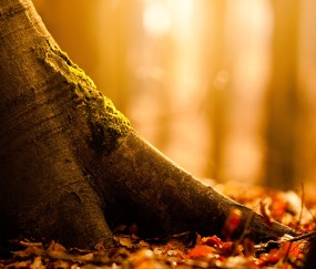 小孩发烧后总是吃什么吐什么（娃发烧吃啥吐啥）