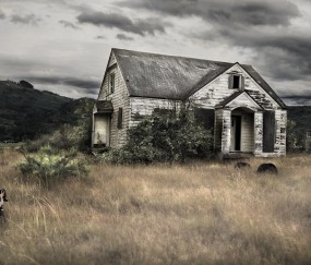 打了排卵针没有卵泡（打了排卵针卵泡没破）