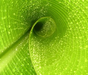 小孩发烧可以涂酒精吗（小孩发烧可以涂酒精吗?）