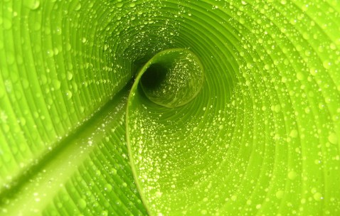 卵泡前天是1.61.6（卵泡前一天20x17后一天就14x12）