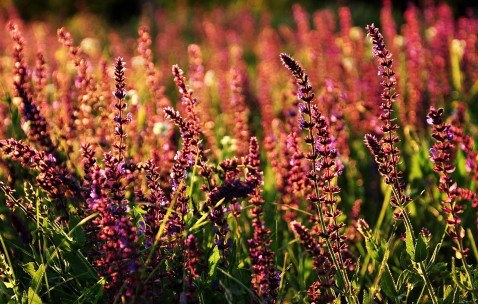 在宿舍怎样快速入睡（宿舍快速入睡方法）