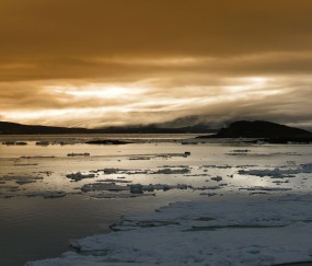 卵泡多大算多囊（卵泡多大是多囊）