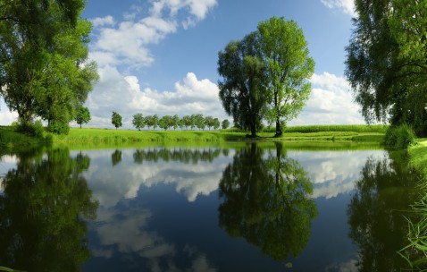 福州出名的供卵试管医院名单，这几家做三代试管不用等！（福州做试管婴儿的全部费用大概是多少）