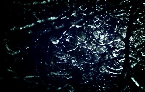 什么引起小孩病毒性发烧（小孩怎么会病毒性发烧）