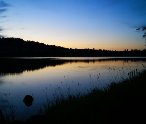 小孩发烧引起糖尿病（儿童发烧会引起血糖升高吗）