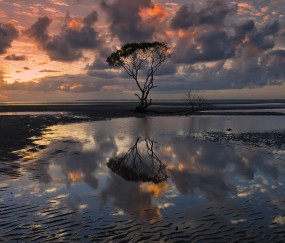 喝奶茶会增加奶水吗