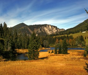小孩发烧能吃煎肉（小孩子发烧能不能吃肉之类的）
