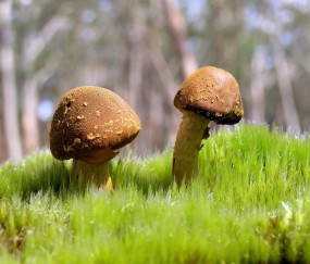 夏天小孩热发烧（夏天太热孩子发烧）