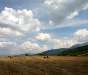 福州供卵生子大概要多少钱，附供卵移植成功率统计表！（福州供卵公司）