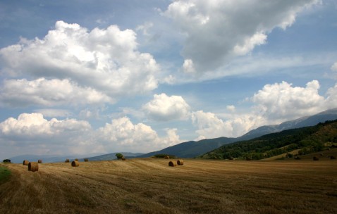 福州供卵生子大概要多少钱，附供卵移植成功率统计表！（福州供卵公司）