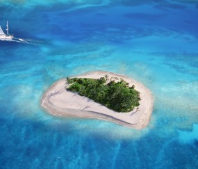 试管移冻胚成功率高吗（试管移植冻胚是什么意思）