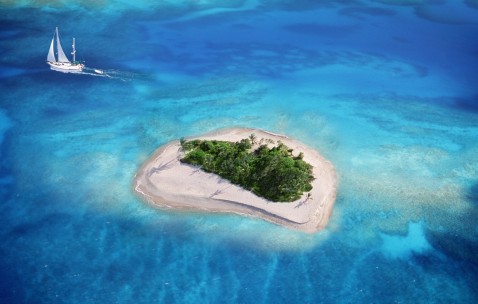 试管移冻胚成功率高吗（试管移植冻胚是什么意思）