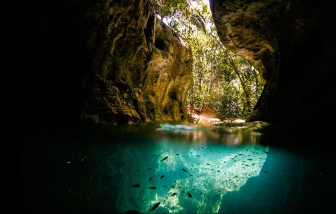 小孩牙疼发烧头疼是怎么回事（小孩牙疼发烧了怎么回事该怎么办）