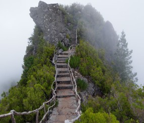 天津试管哪家好