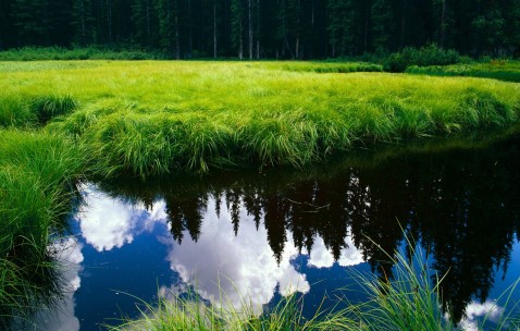 南昌7家供(借)卵试管婴儿医院最新排名，附2024三代试管供卵价格表！