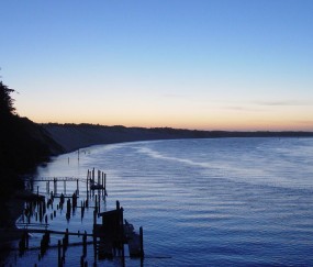 排卵障碍试管成功率（排卵障碍试管成功率有多高）